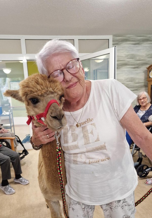 Eine Seniorin steht neben einem Alpaka und hält es im Arm.