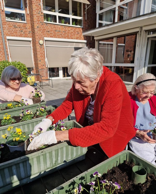 Drei Seniorinnen bepflanzen Blumenkästen.