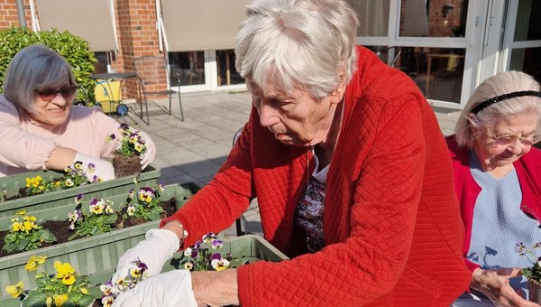 Drei Seniorinnen bepflanzen Blumenkästen.