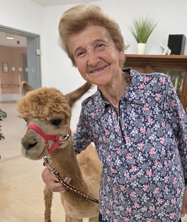 Eine Seniorin steht neben einem Alpaka und hält es im Arm.
